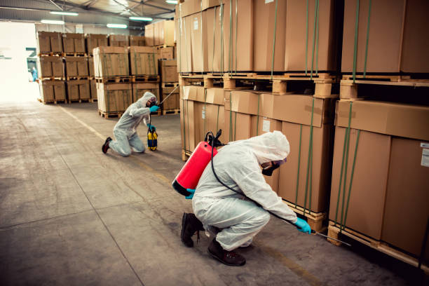 Best Bed Bug Extermination  in San Carlos, AZ