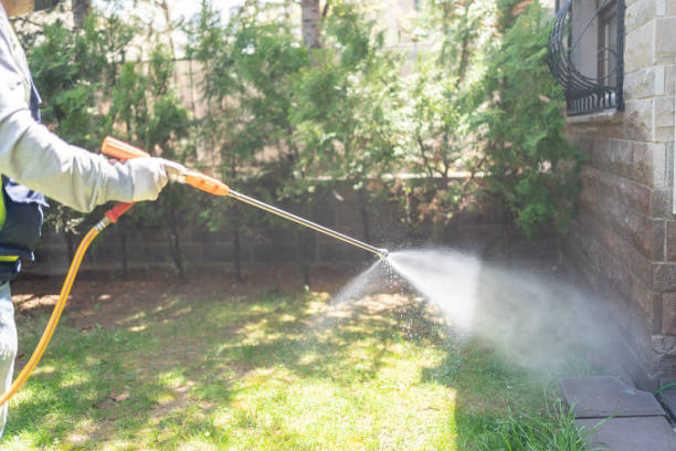 Best Best Pest Control Companies  in San Carlos, AZ